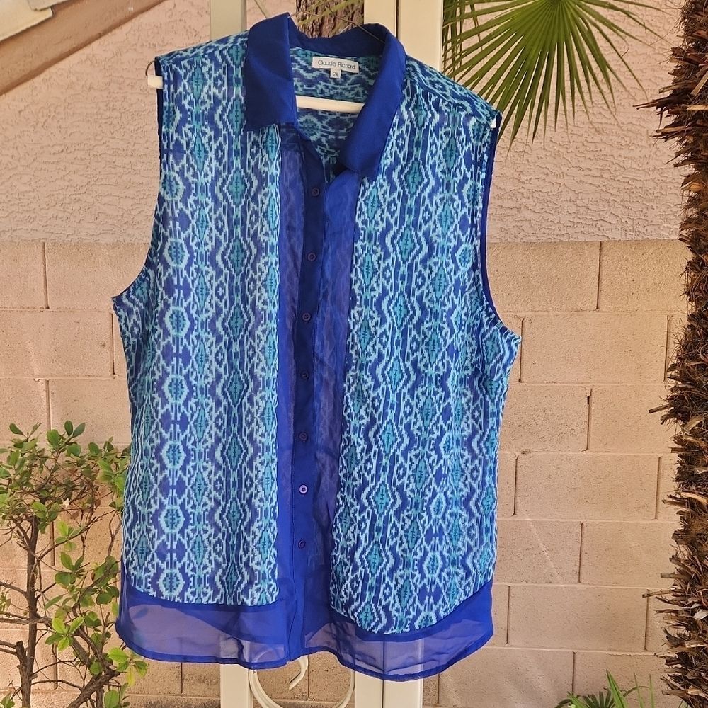 Claudia Richard Blue and White Sheer Blouse